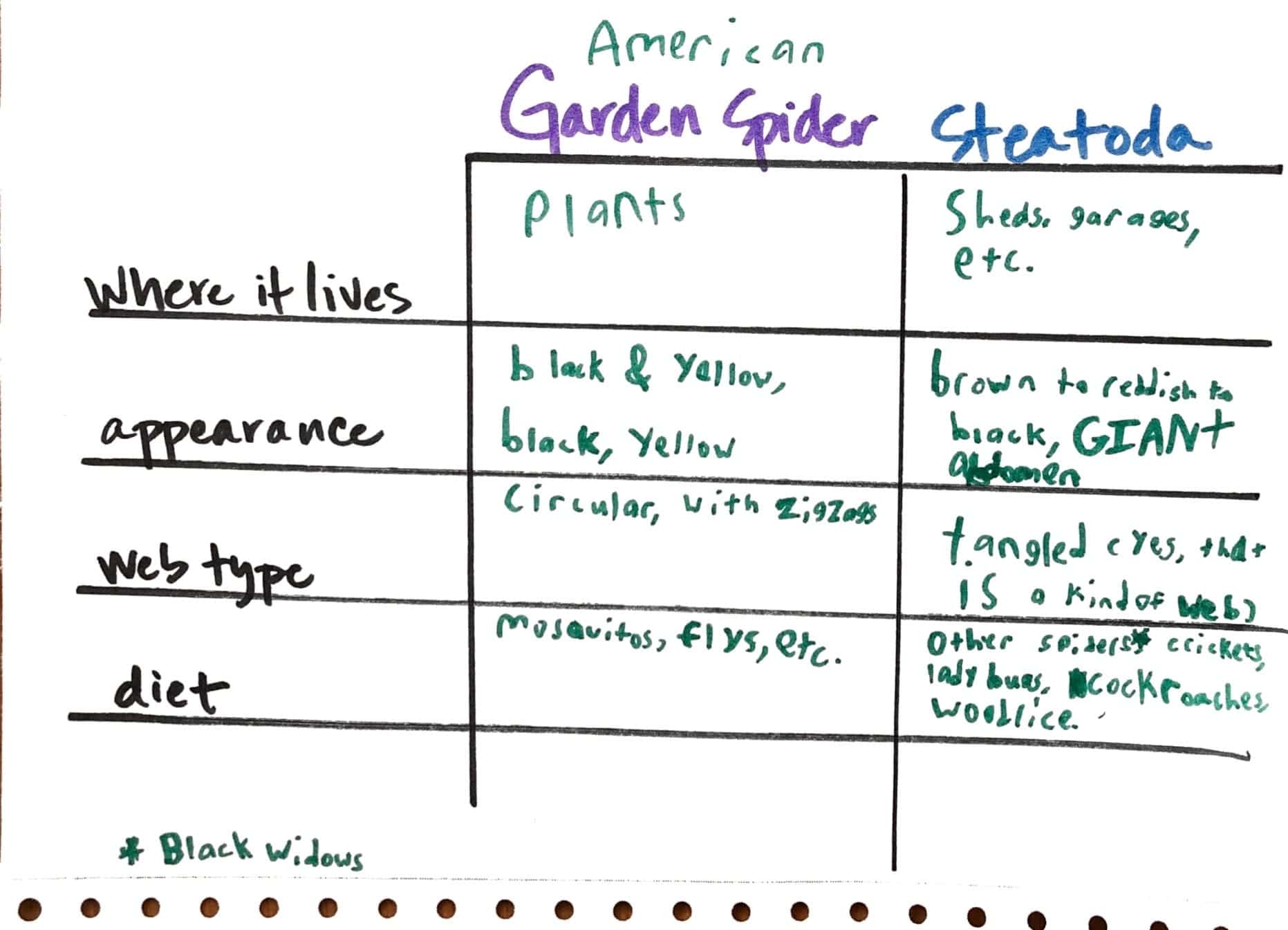 Comparison Chart