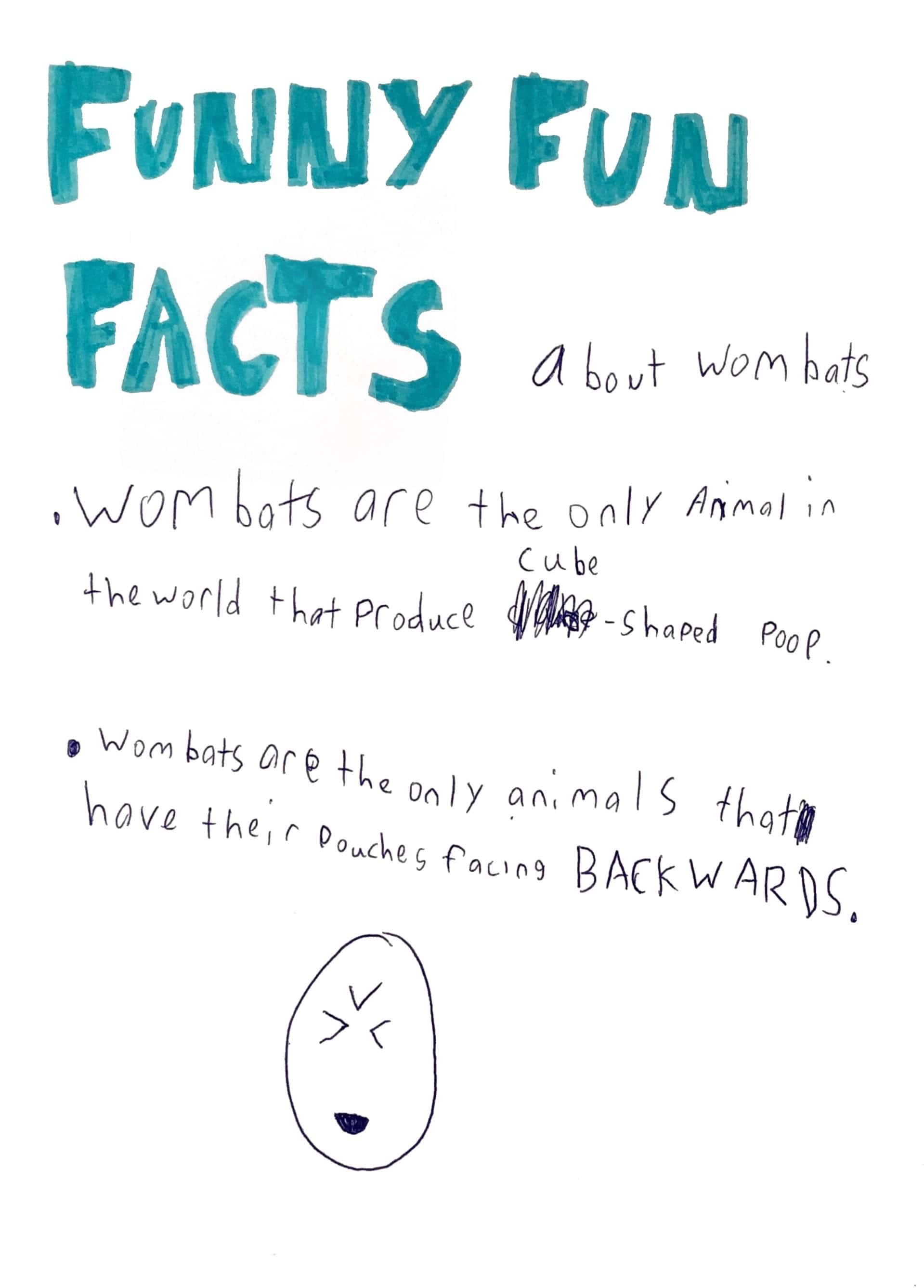 Wombat Funny Fun Facts